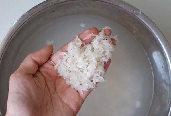 namočená rýže