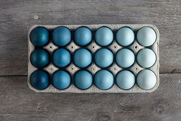 Huevos pintados con diferentes intensidades.
