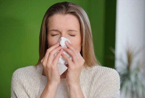 Allergia alla polvere