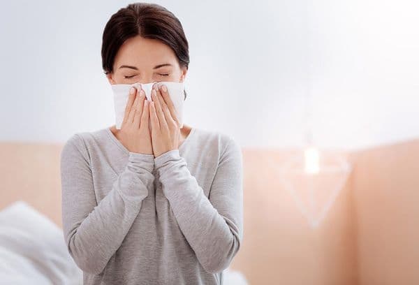 allergia alla polvere