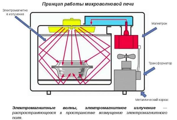 El principio de funcionamiento del horno microondas.