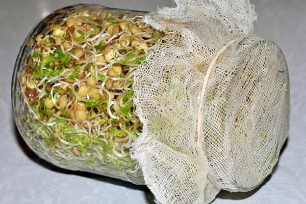 Jar ng Sprouted Wheat