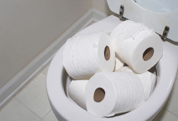 Rotoli di carta igienica nella toilette