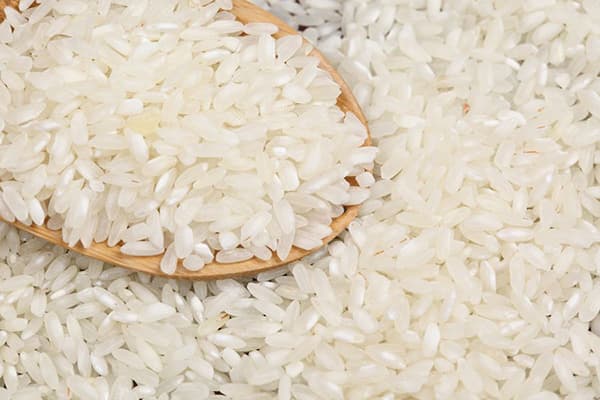 Rīsu graudaugi