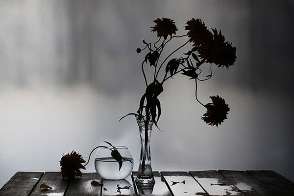 Fleurs fanées dans un vase