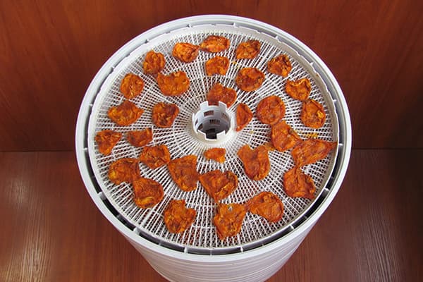 Mga aprikot sa isang electric dryer