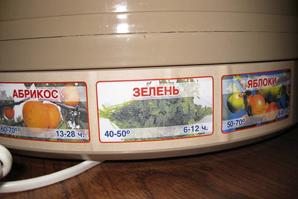 Assecador elèctric de fruites i herbes