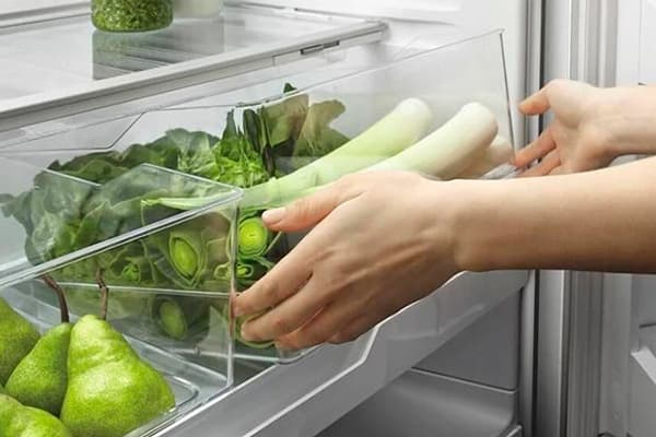 Förvaring av gröna och grönsaker i kylen