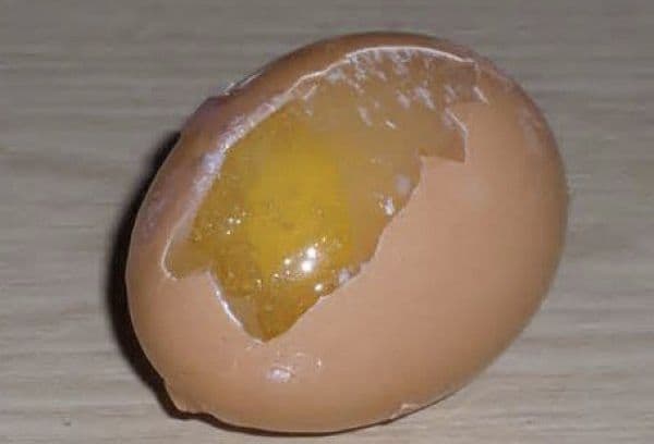 Dondurulmuş yumurta