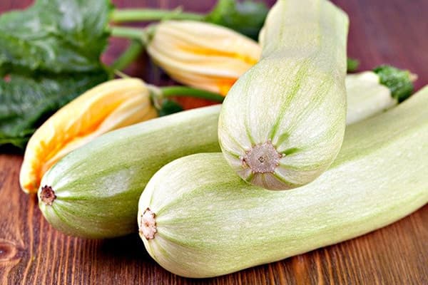 Färsk zucchini