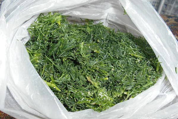 Frozen Chased Dill