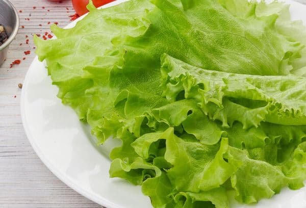 Listy čerstvého salátu