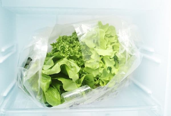 Salada de folhas no congelador