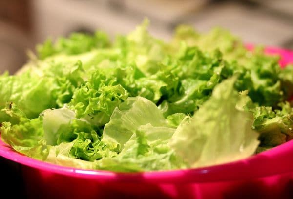 Oprana zelena lišća salata