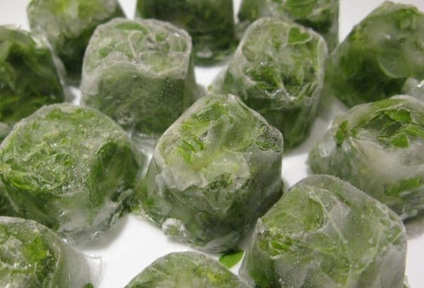 ijsblokjes met greens