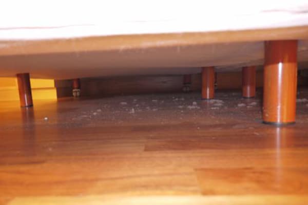 الغبار تحت الأريكة