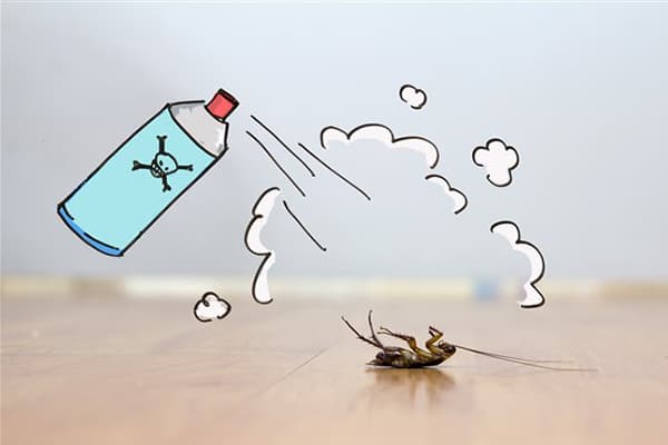 Distruzione degli scarafaggi da parte dell'aerosol