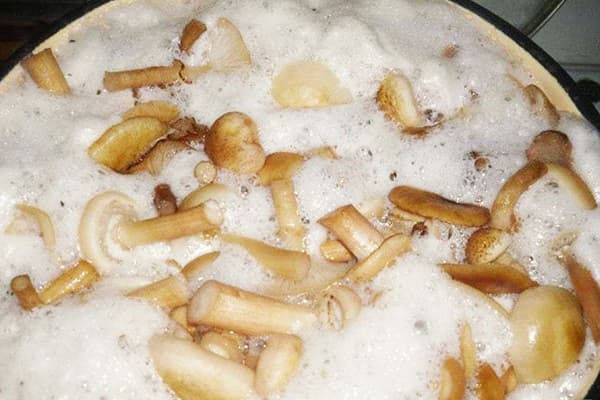 Mousse de cuisson aux champignons