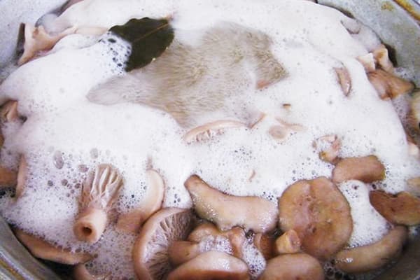Kuhanje gljiva