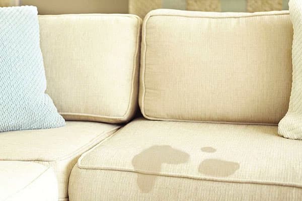 Taques d’orina al sofà