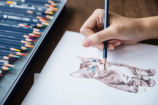 Kreslenie mačiatka s farebnými ceruzkami