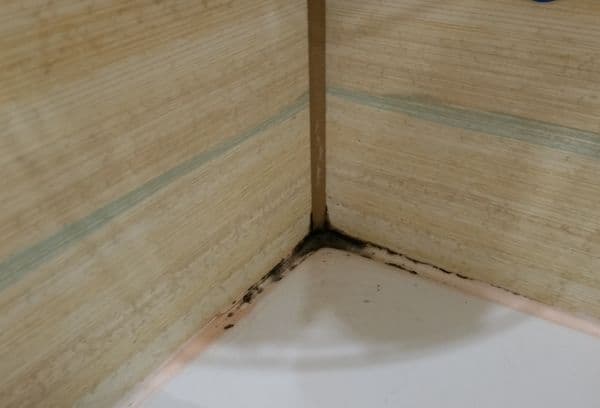 Molde no banheiro entre as costuras