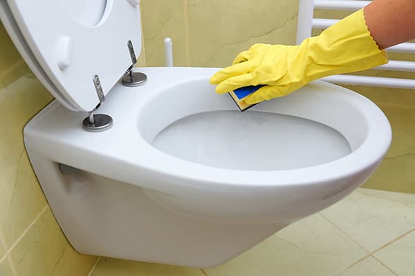 Καθαρισμός της τουαλέτας