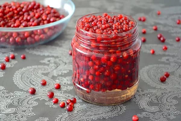 Lingonberry berries in a glass jar