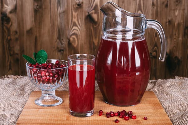 Beguda de fruita de Lingonberry