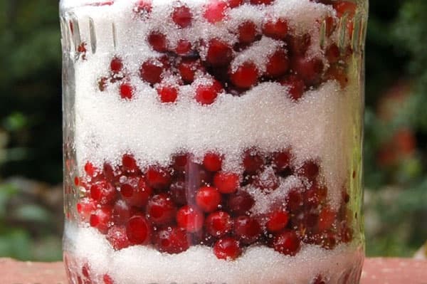 Lingonberries frescos em açúcar