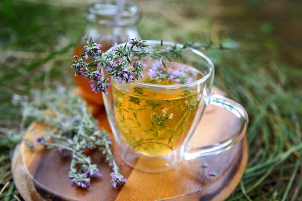 Thyme decoction