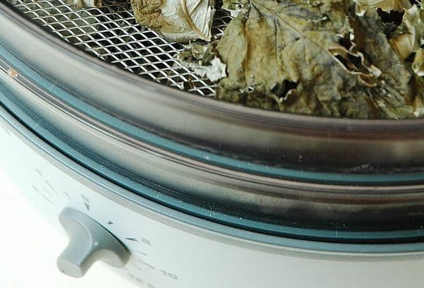 Drying leaves in an electric dryer