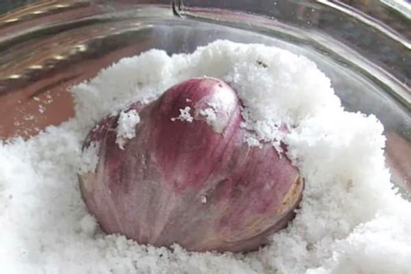 Glava češnjaka u soli