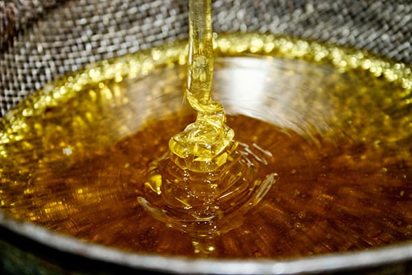 Filtro de mel